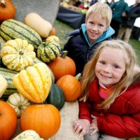 Malvern Autumn Show at Three Counties Showground
