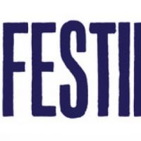 Festifeel 2013