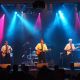 Music of the Hollies - Performed by The Hollywood Bees Music of the Hollies - Performed by The Hollywood Bees