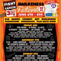 Awareness Festival at Vaynol Estate