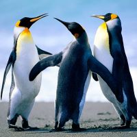 Test Event TestTestTest 123 