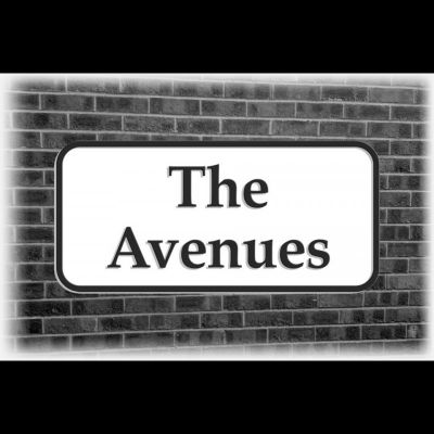 The Avenues, unplugged. | West Bulls Pub Hull | Sat 4th February 2012 Lineup