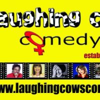 Laughing Cows Comedy at The Manchester Frog and Bucket at Frog And Bucket