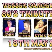 Wessex Cancer Trust 80s Tribute Fest at Stoneham Park